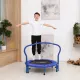 Батут с поручнем DFC Gardenature 36#039;#039; синий