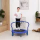 Батут с поручнем DFC Gardenature 36#039;#039; синий