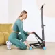 Мини степпер с поручнем DFC SKY FITNESS