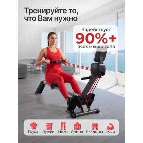 Гребной тренажер DFC Bodycoach, с резиновыми тросами