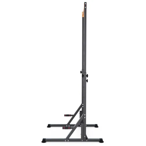 Напольный турник DFC HOMEGYM SC-G719
