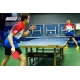 Стол теннисный Champion World Cup