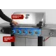 Газовый гриль 5+2 горелки