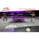 Мячи для н/т Double Fish V40+ 3 star WTTC (6шт.)