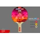 Теннисная ракетка Start line HOME 1* (анатомическая) 12104