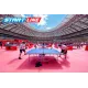 Стол теннисный GRAND EXPERT 4 Всепогодный Синий