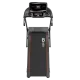 Беговая дорожка CardioPower S15