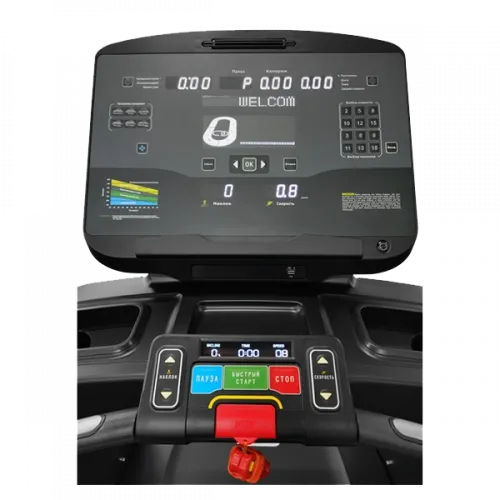 Беговая дорожка CardioPower PRO CT500 – V12