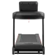 Беговая дорожка CardioPower T55 NEW