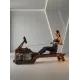 Гребной тренажер CardioPower, AquaFlow 7