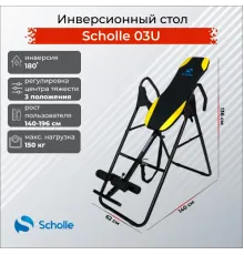 Инверсионный стол Scholle 03U