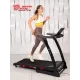 Беговая дорожка Titanium Masters Physiotech A260