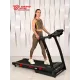 Беговая дорожка Titanium Masters Physiotech A360