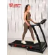 Беговая дорожка Titanium Masters Physiotech A360