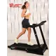 Беговая дорожка Titanium Masters Physiotech TCA