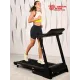 Беговая дорожка Titanium Masters Physiotech TCA