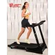 Беговая дорожка Titanium Masters Physiotech TCA