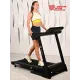 Беговая дорожка Titanium Masters Physiotech TCA