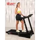 Беговая дорожка Titanium Masters Physiotech TCA