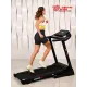 Беговая дорожка Titanium Masters Physiotech TBM