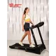 Беговая дорожка Titanium Masters Physiotech TBM
