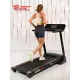 Беговая дорожка Titanium Masters Physiotech A460 TFT