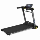 Беговая дорожка Xterra TR1